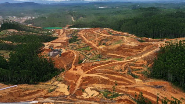 Basuki Mau Kasih Lahan Gratis di IKN ke Negara Sahabat